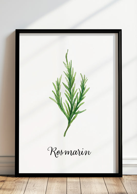 Poster mit Rosmarin-Aquarell im schwarzen Rahmen vor heller Küchenwand