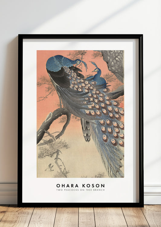 Two Peacocks on Tree Branch von Ohara Koson als Poster, in schwarzem Rahmen, stehend auf dem Boden, angelehnt an einer Wand