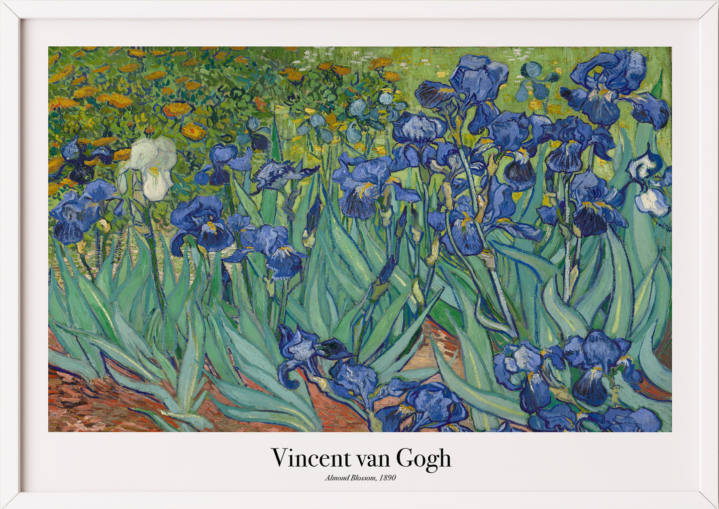 Detailansicht des Posters Vincent van Gogh – Irises
