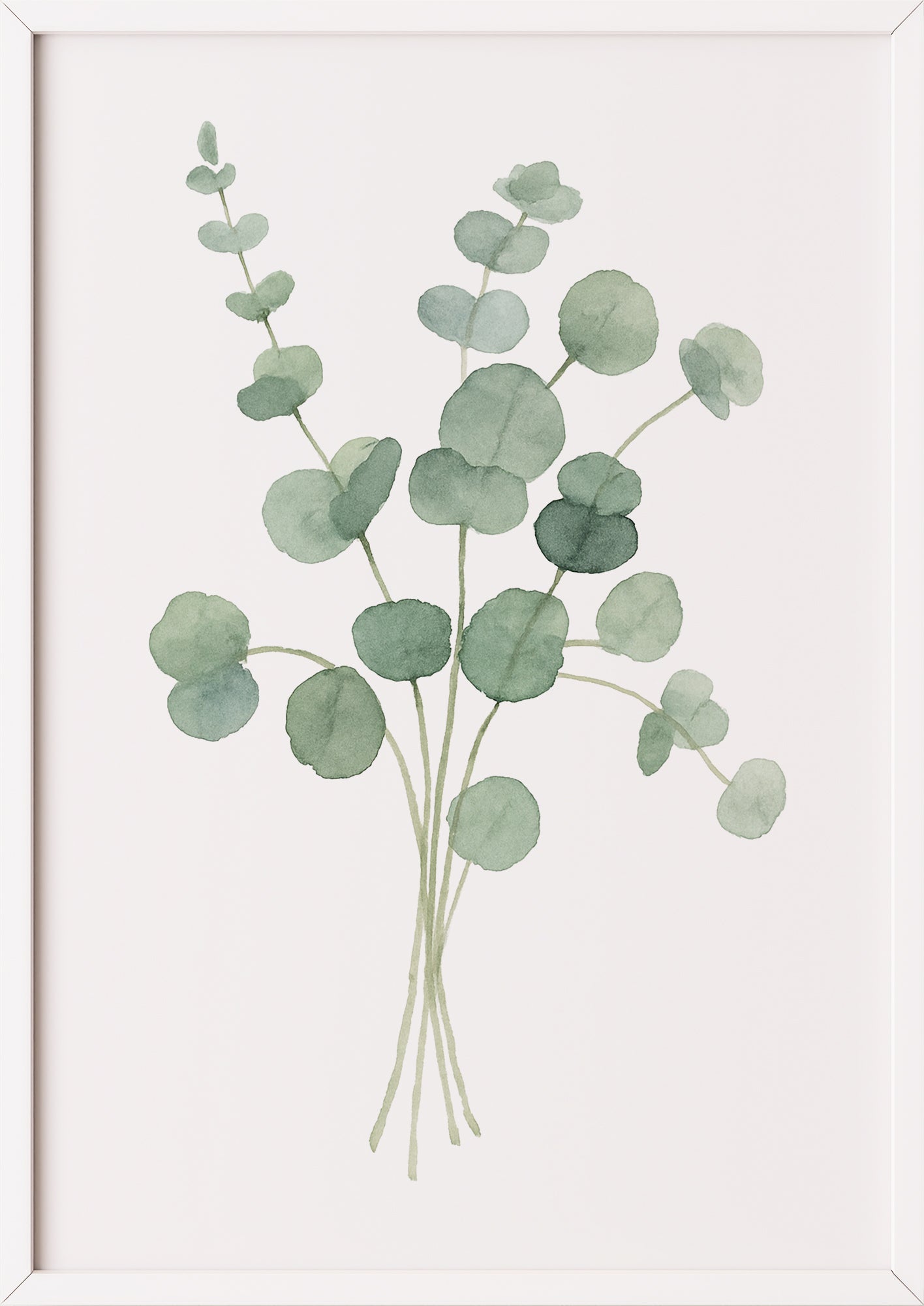 Eukalyptus Zweige Aquarell Poster im weißen Rahmen