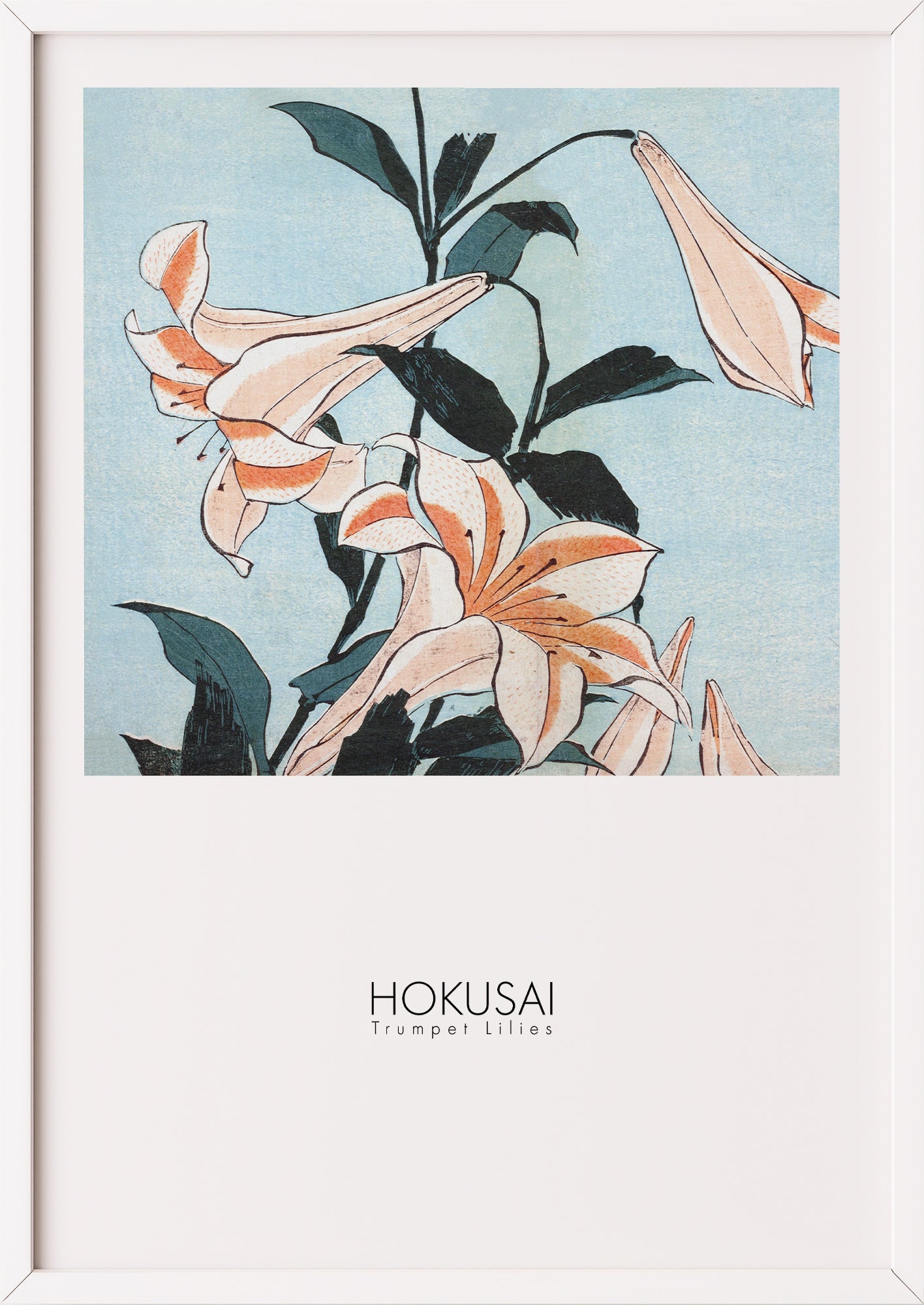 Nahaufnahme von Trumpet Lilies von Hokusai als Poster