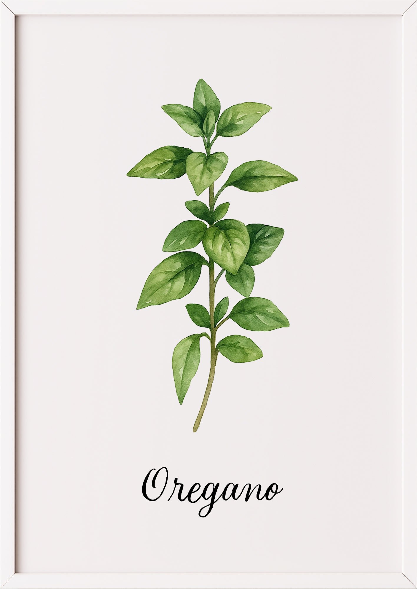 Oreganoposter im weißen Rahmen an einer hellen Wand