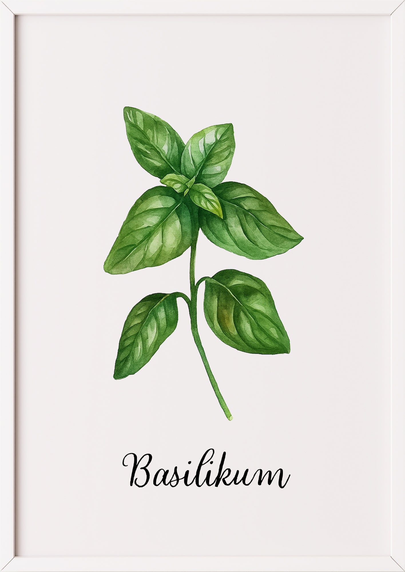 Basilikumposter im weißen Rahmen an einer hellen Wand
