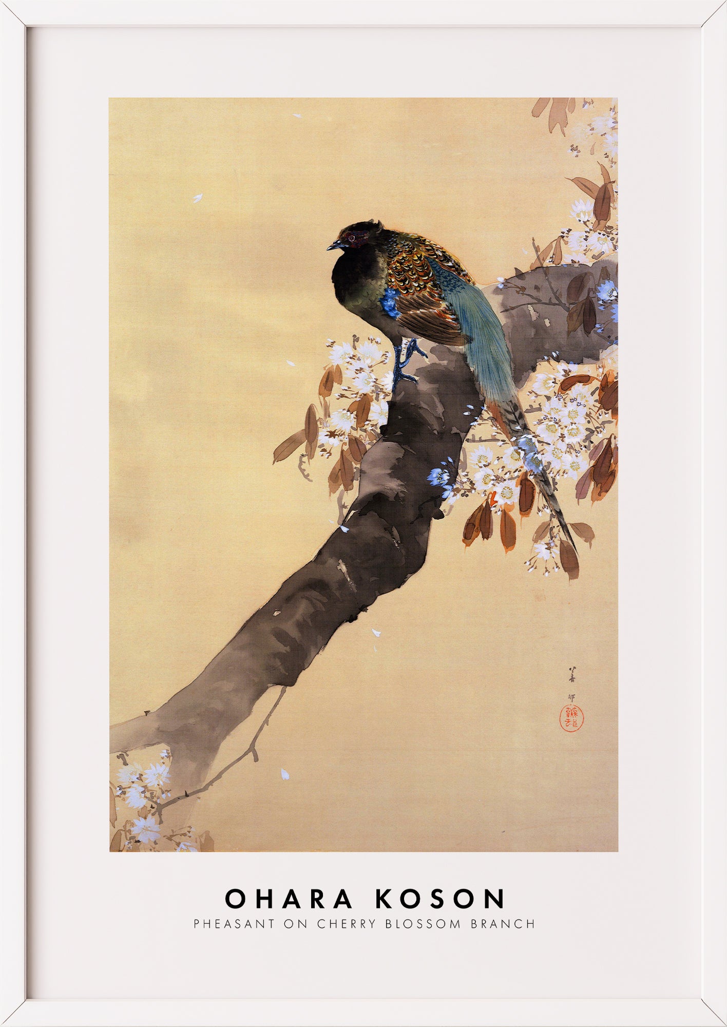 Nahaufnahme von Pheasant on Cherry Blossom Branch von Ohara Koson als Poster