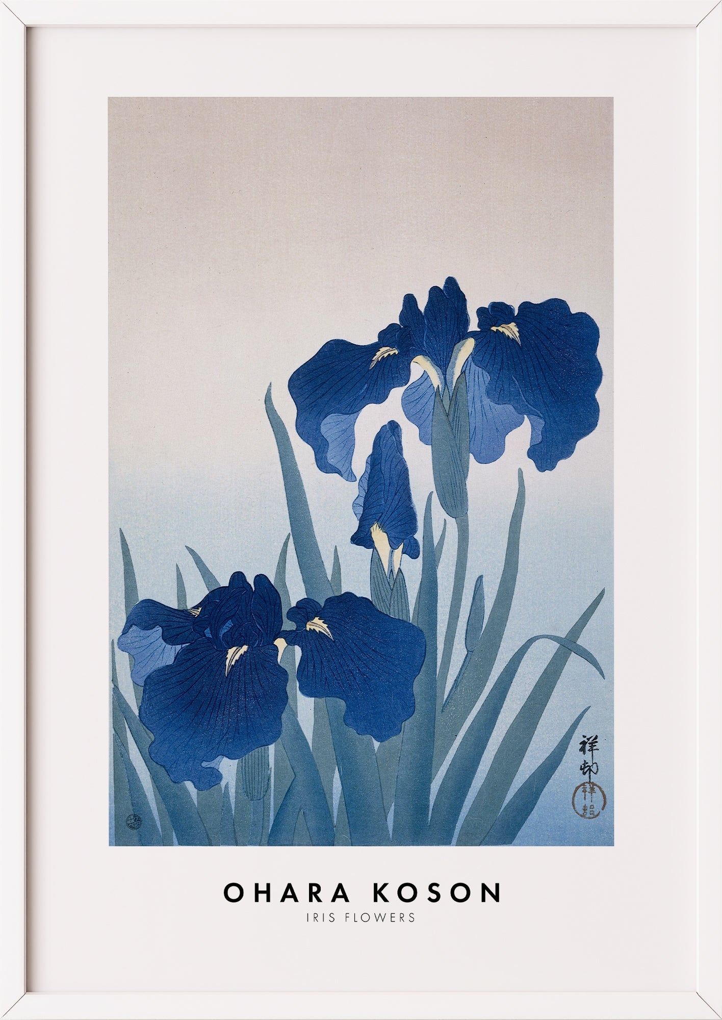 Nahaufnahme von Iris Flowers von Ohara Koson als Poster