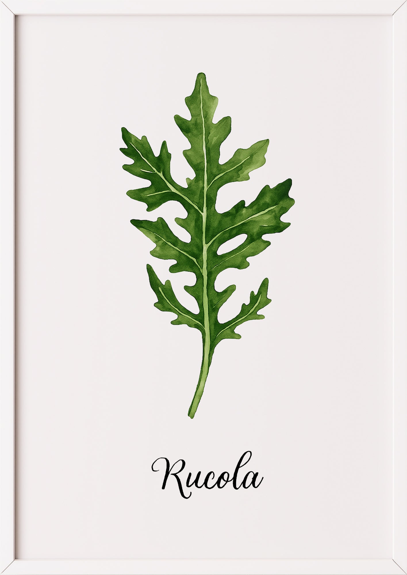 Rucolaposter im weißen Rahmen auf glatter Fläche mit viel Weißraum