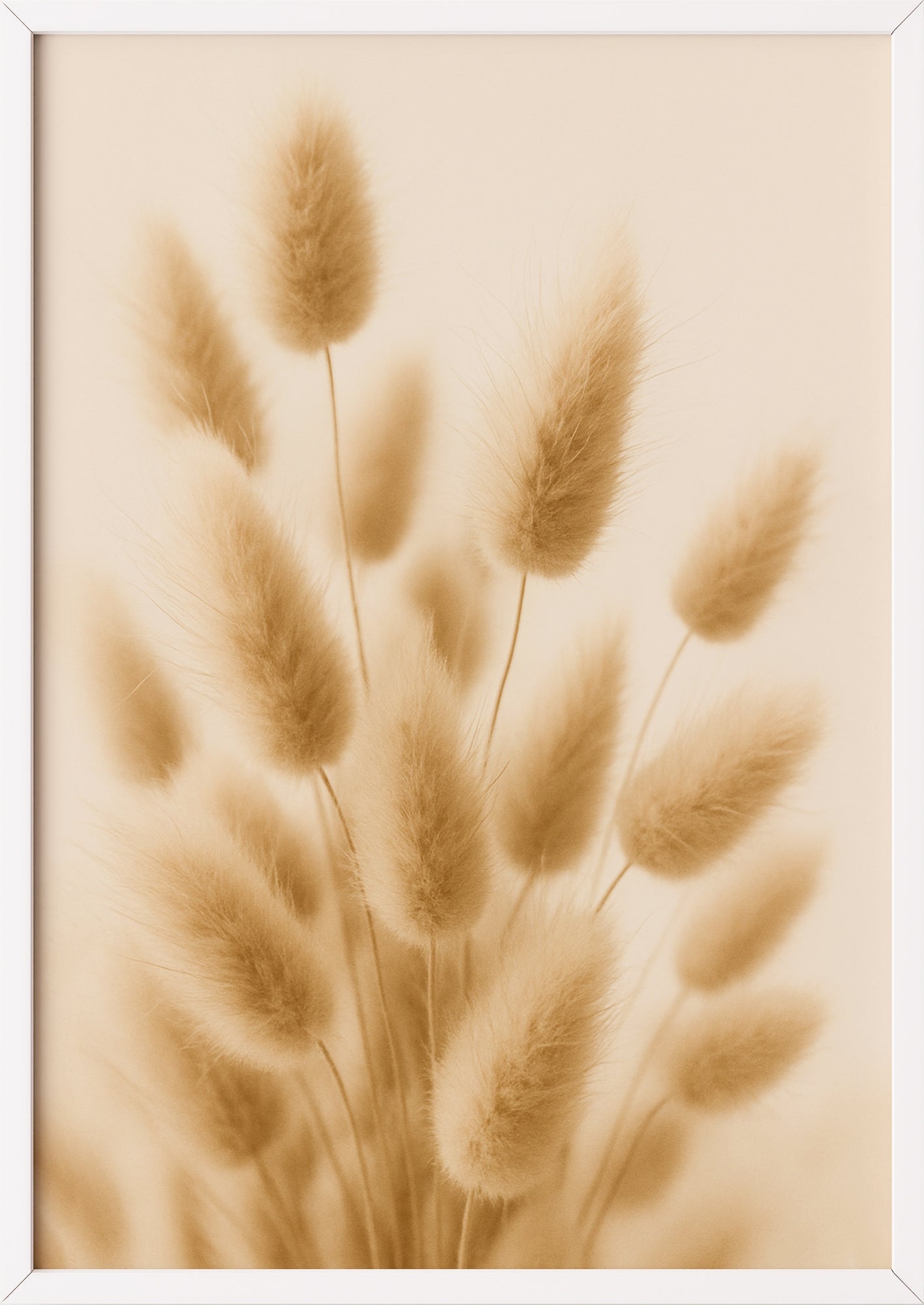 Harmonisches Stillleben natürlicher Trockenblumen mit Vintage-Charme