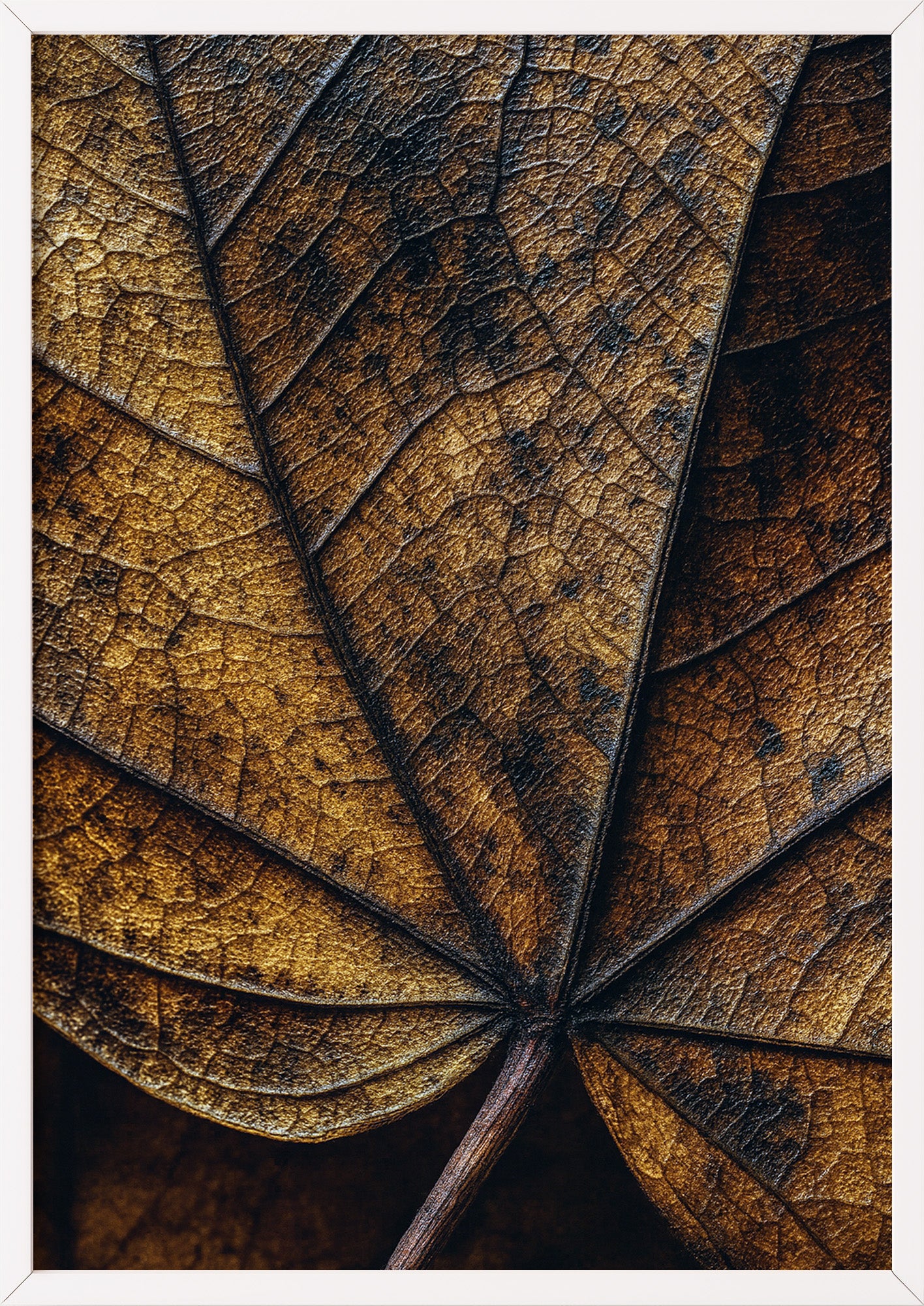 Poster Herbst Blatt Nahaufnahme im weißen Holzrahmen