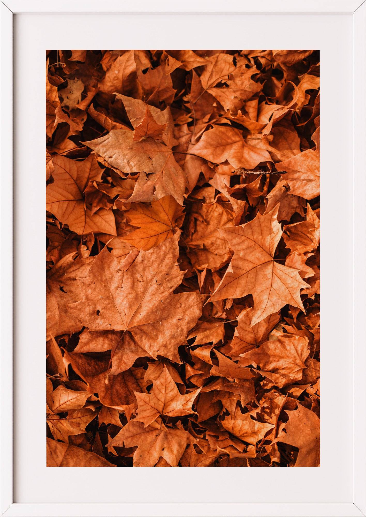 Poster Herbstblätter im weißen Holzrahmen