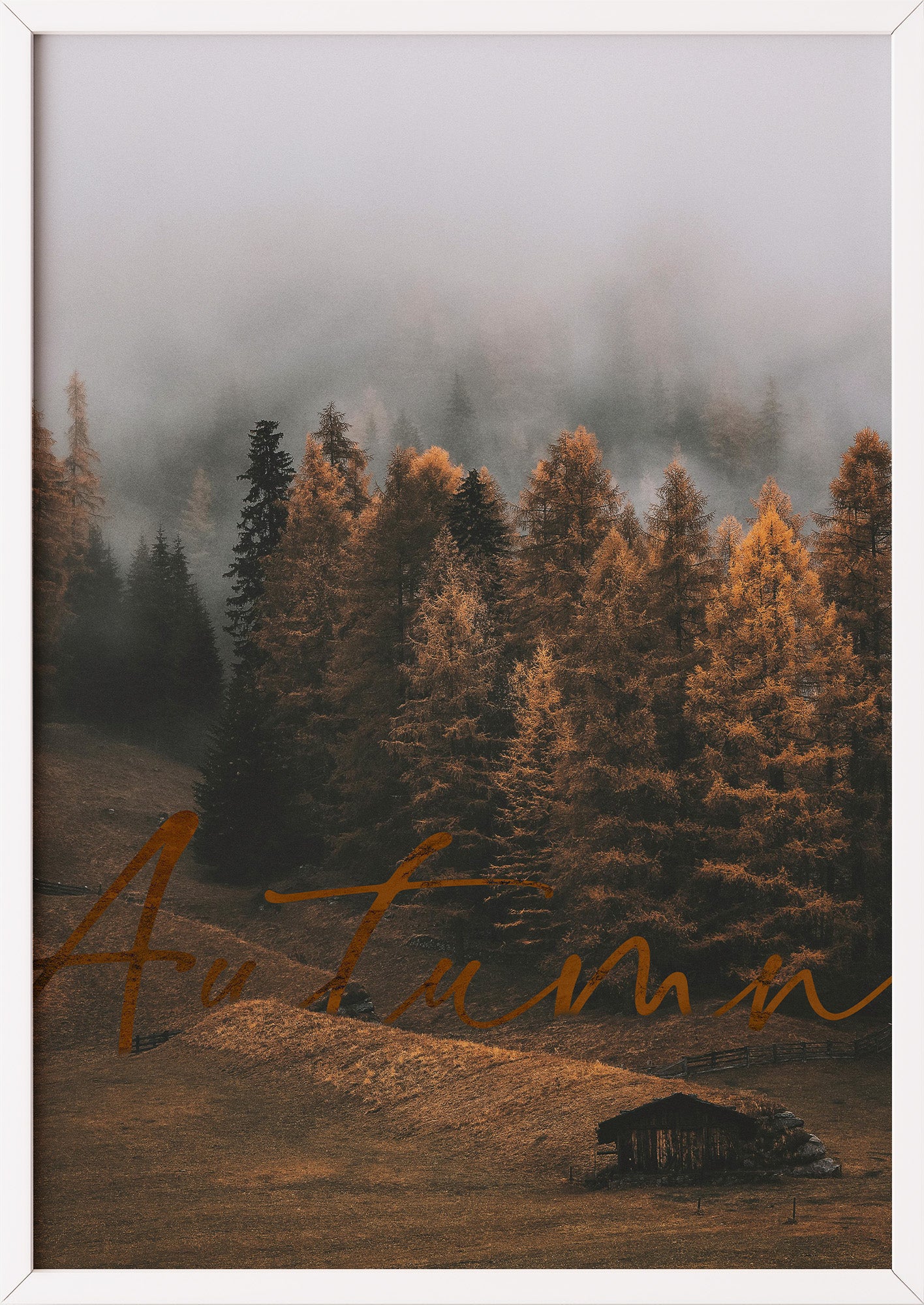 Poster Autumn Forest im weißen Holzrahmen