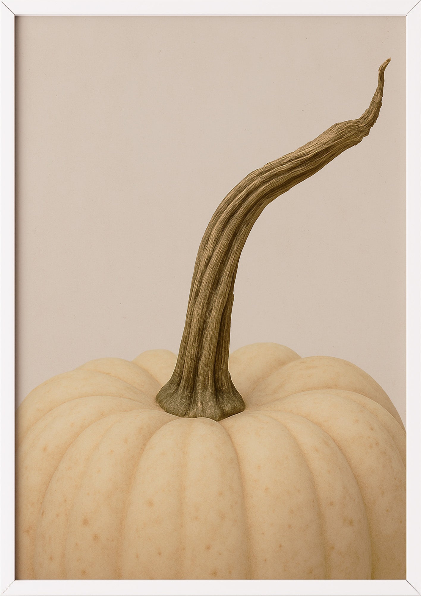 Poster Weißer Kürbis im weißen Holzrahmen