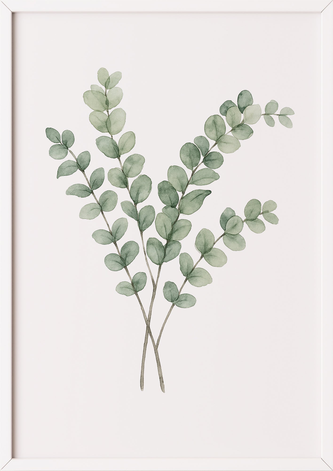 Eukalyptus Aquarell Poster im weißen Rahmen