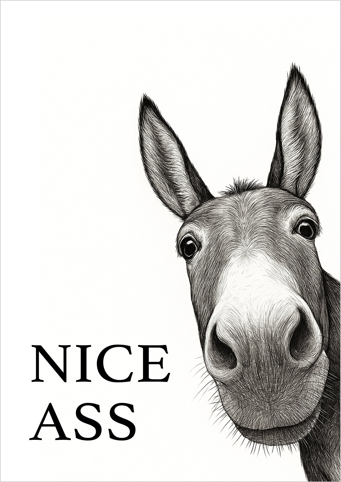 Nice Ass Esel Poster freigestellt