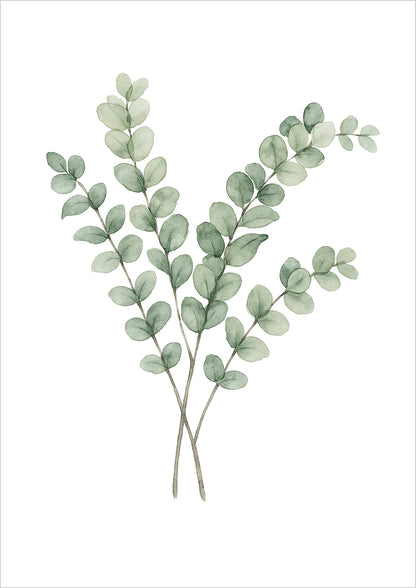 Eukalyptus Zweig Aquarell Illustration freigestellt auf weißem Hintergrund