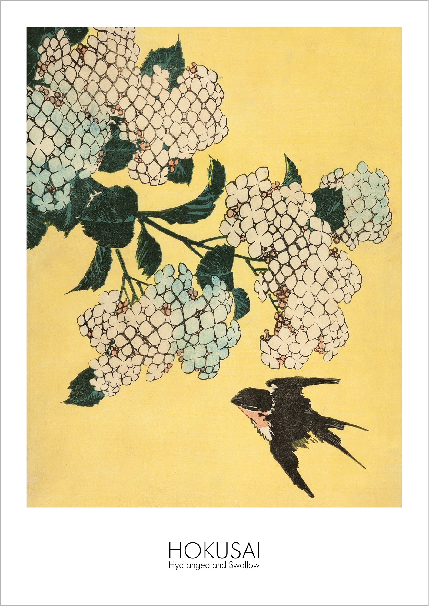 Hydrangea and Swallow von Hokusai als Poster, freigestellt auf weißem Hintergrund