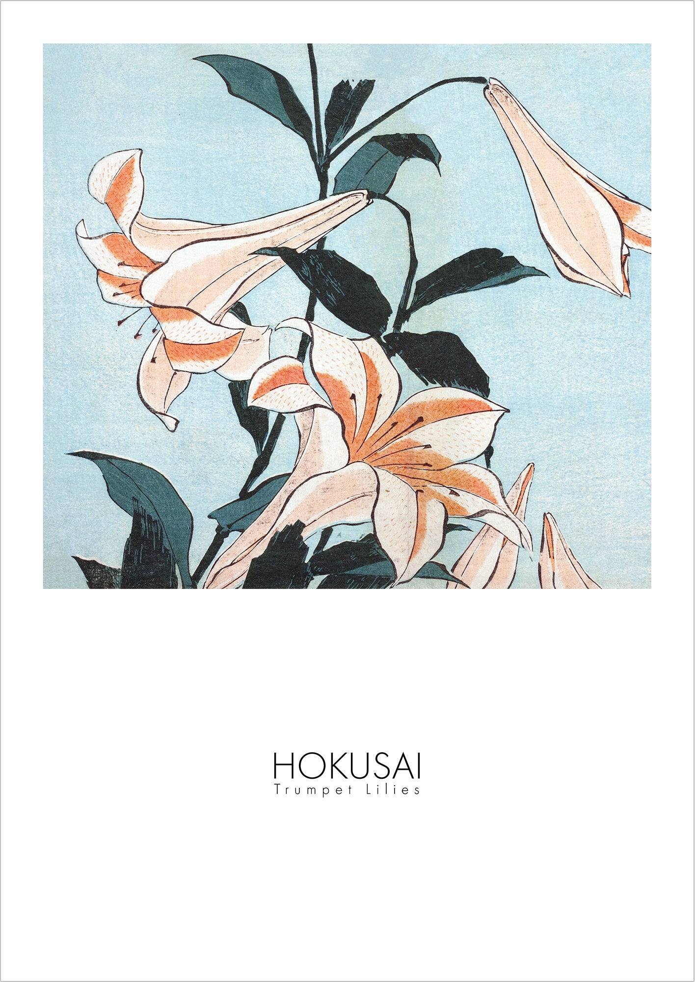 Trumpet Lilies von Hokusai als Poster, freigestellt auf weißem Hintergrund