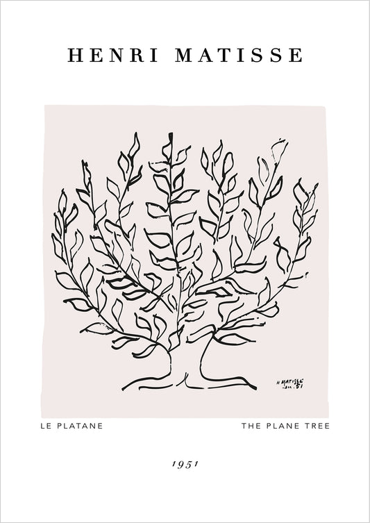 The Plane Tree von Henri Matisse Poster auf weißem Hintergrund freigestellt