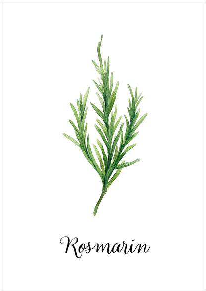 Aquarell-Illustration eines frischen Rosmarinzweigs auf weißem Hintergrund mit handschriftlichem Schriftzug