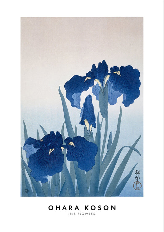 Iris Flowers von Ohara Koson als Poster, freigestellt auf weißem Hintergrund