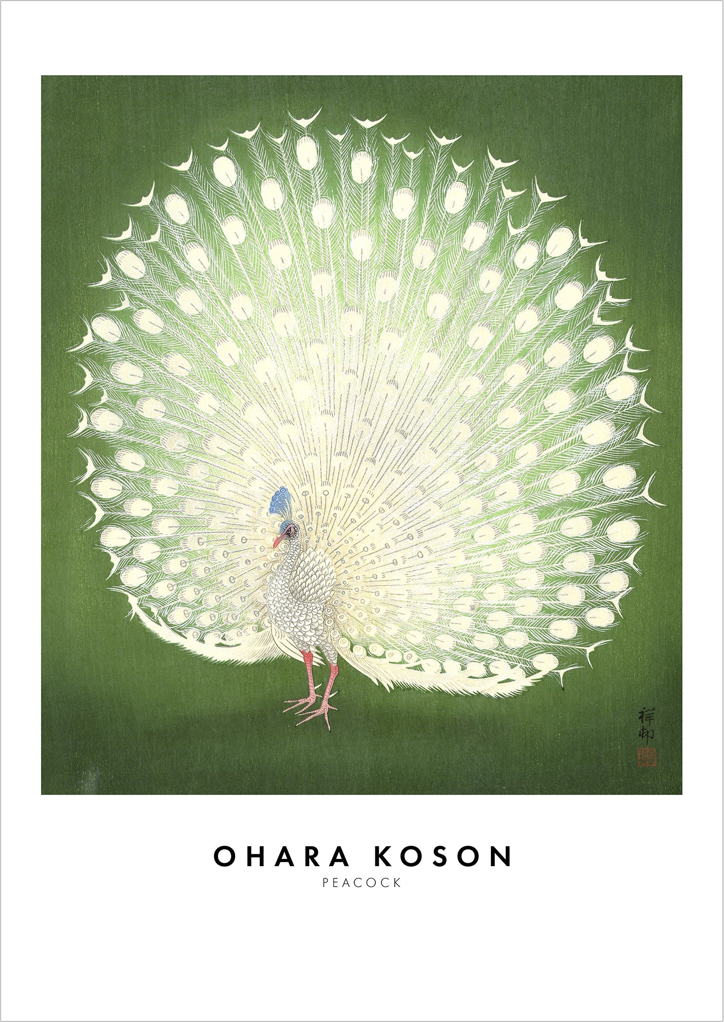 Peacock von Ohara Koson als Poster, freigestellt auf weißem Hintergrund