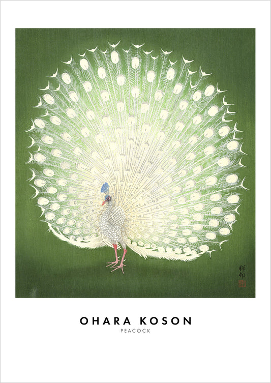 Peacock von Ohara Koson als Poster, freigestellt auf weißem Hintergrund