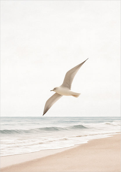 Fliegende Möwe über ruhigem Meer mit hellem Himmel und Sandstrand
