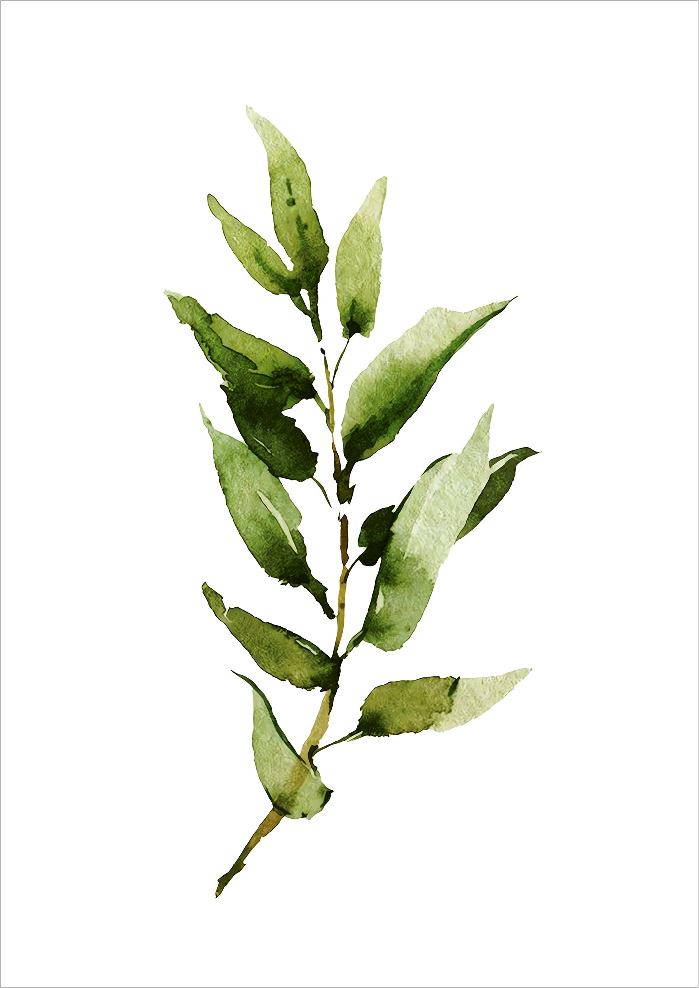 Wasserfarbene Illustration eines schmalblättrigen Zweigs freigestellt auf weißem Hintergrund