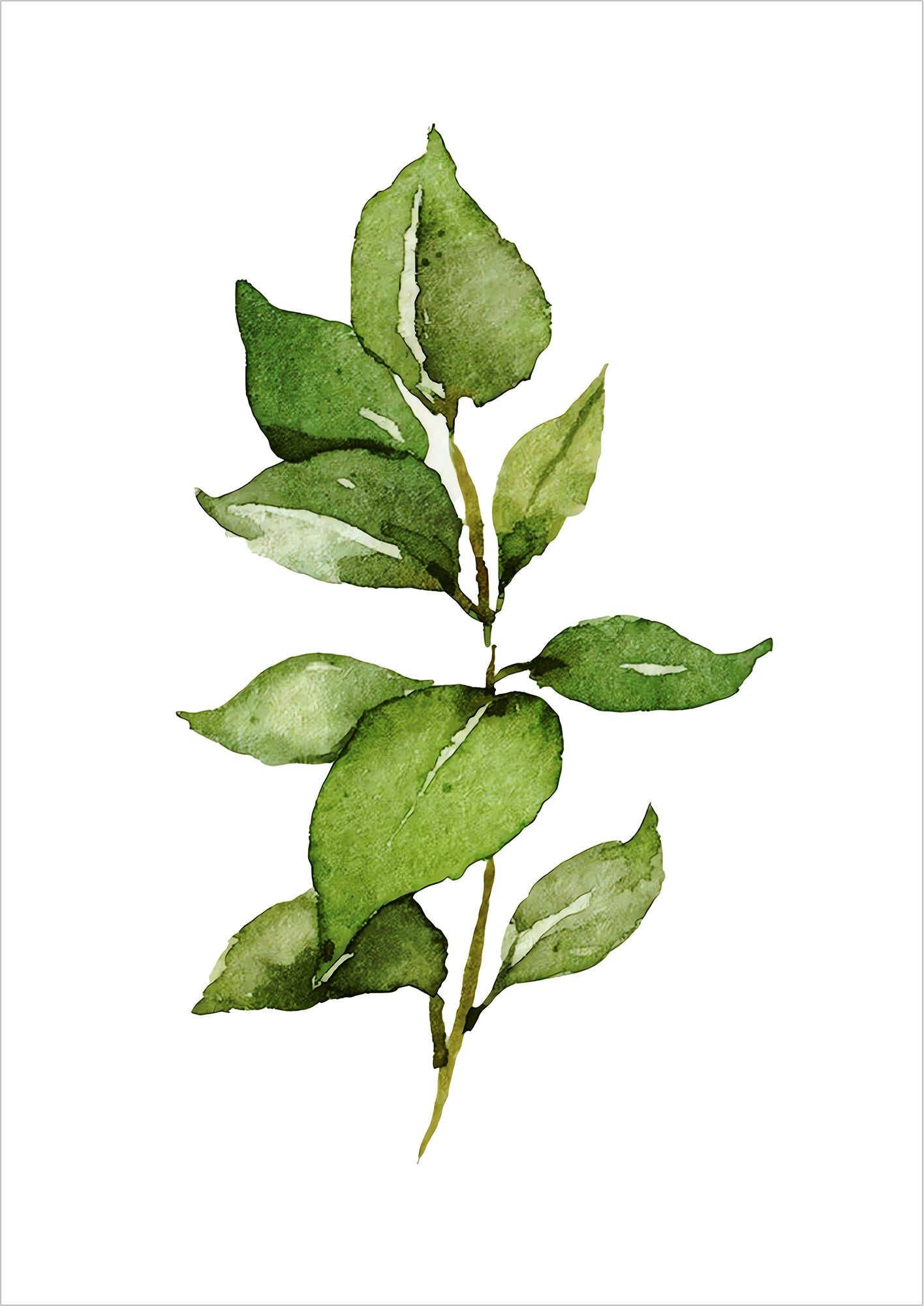 Illustration eines Aquarellzweigs mit ovalen grünen Blättern freigestellt auf weißem Hintergrund