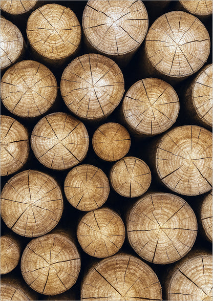 Poster Baumstämme freigestellt