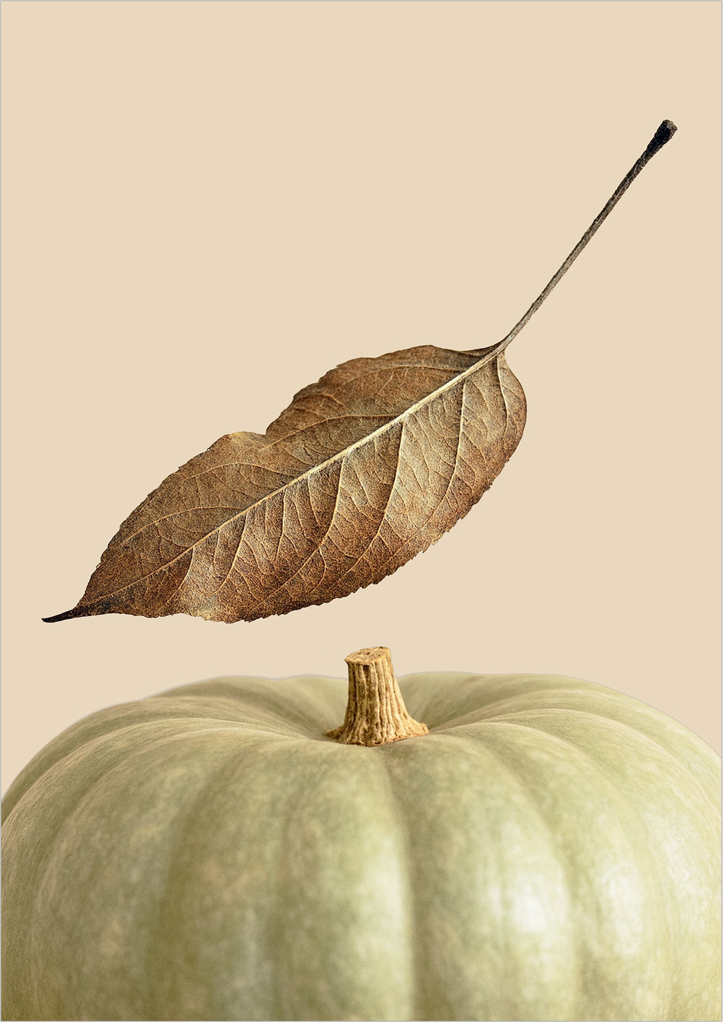 Poster Kürbis mit Blatt freigestellt