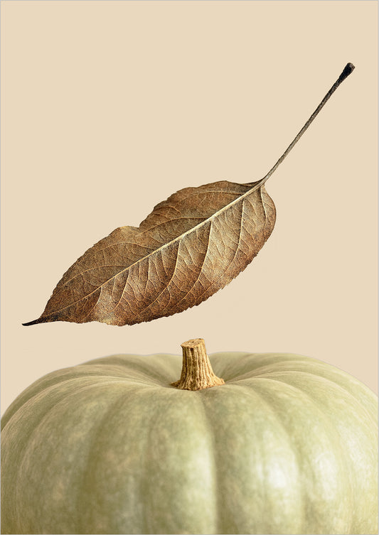 Poster Kürbis mit Blatt freigestellt
