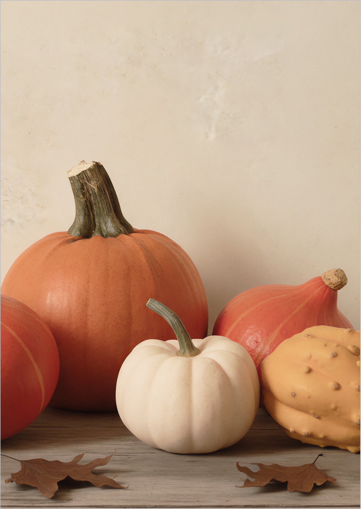 Poster Kürbis Sammlung im Herbst freigestellt