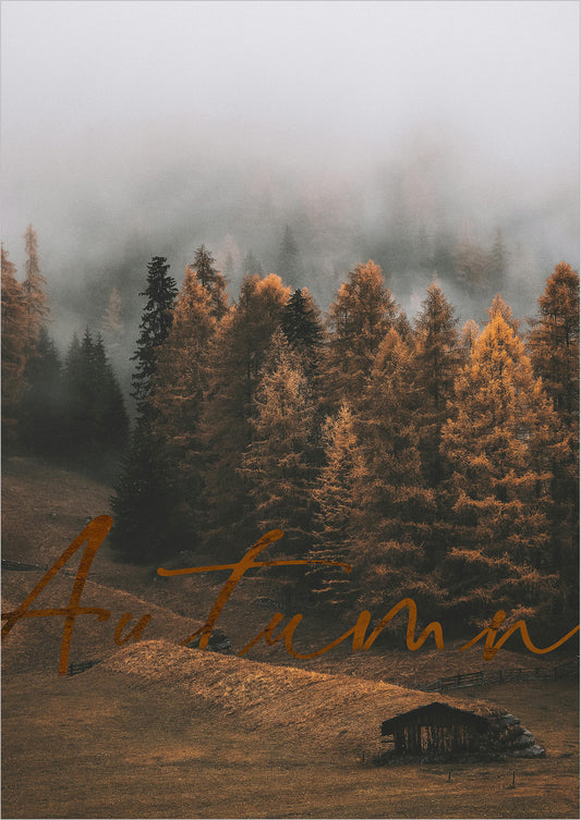 Poster Autumn Forest freigestellt