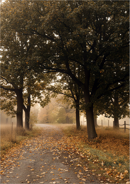 Poster Herbstwald auf dem Land freigestellt