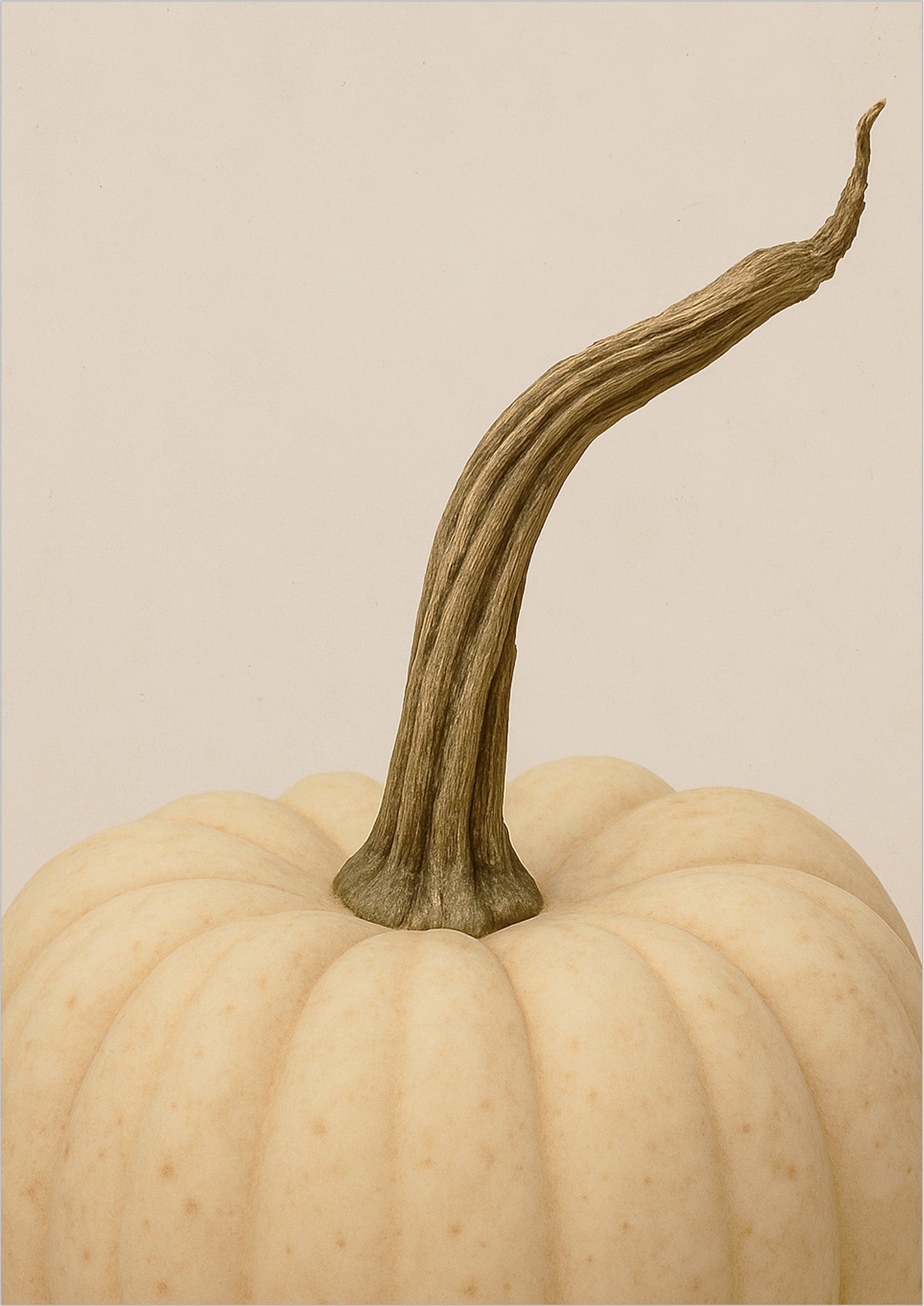 Poster Weißer Kürbis freigestellt