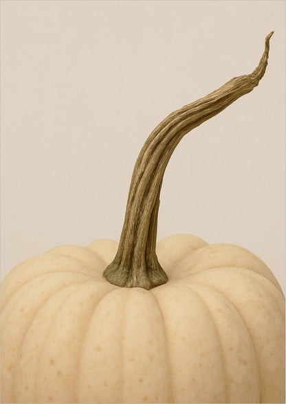 Poster Weißer Kürbis freigestellt