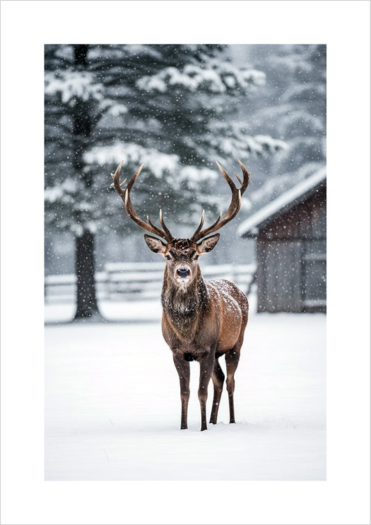 Poster Hirsch im Schnee freigestellt