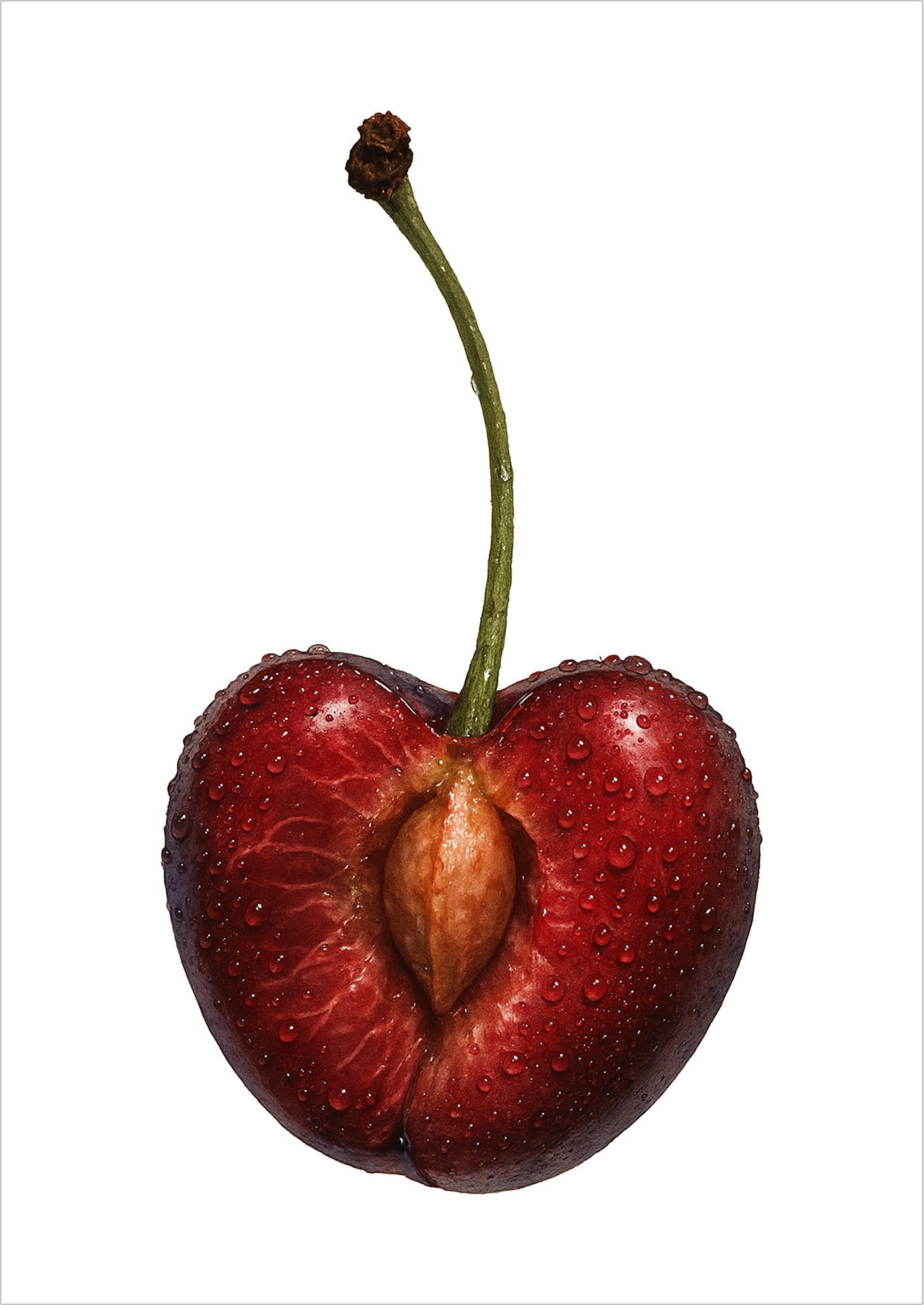 Freigestellte Illustration einer halbierten Kirsche mit Kern auf weißem Hintergrund – modernes Kunstposter