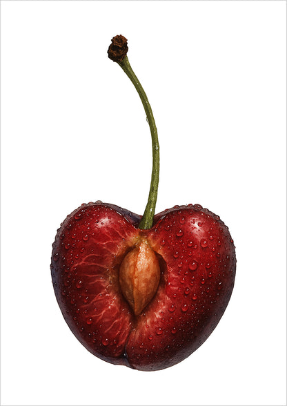 Freigestellte Illustration einer halbierten Kirsche mit Kern auf weißem Hintergrund – modernes Kunstposter