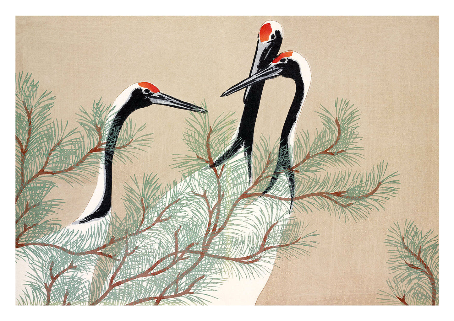 Kamisaka Sekka – Cranes (from Momoyogusa) als hochwertiges Poster auf weißem Hintergrund freigestellt