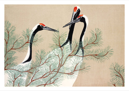 Kamisaka Sekka – Cranes (from Momoyogusa) als hochwertiges Poster auf weißem Hintergrund freigestellt