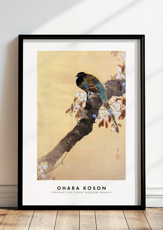 Pheasant on Cherry Blossom Branch von Ohara Koson als Poster, in schwarzem Rahmen, stehend auf dem Boden, angelehnt an einer Wand