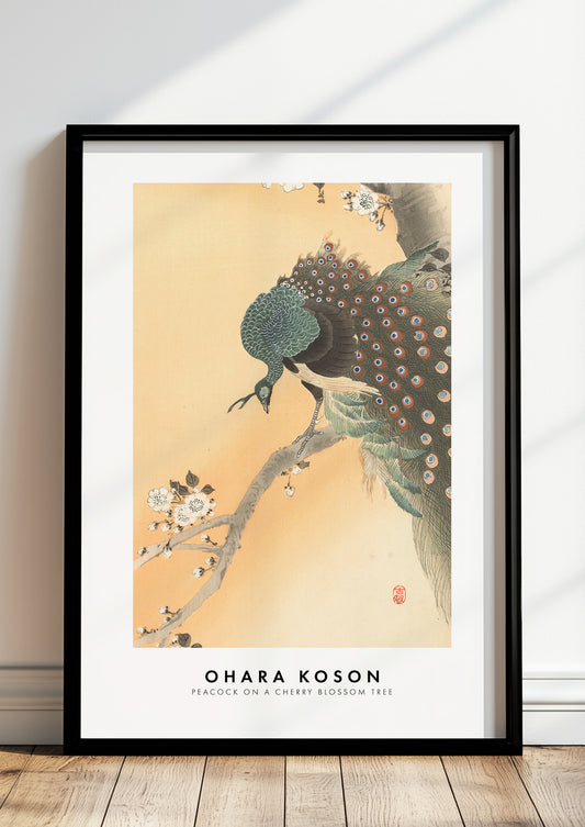 Peacock on a Cherry Blossom Tree von Ohara Koson als Poster, in schwarzem Rahmen, stehend auf dem Boden, angelehnt an einer Wand