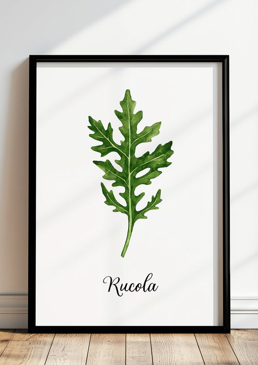 Rucola-Kräuterposter im schwarzen Rahmen an heller Wand mit minimalistischer Einrichtung