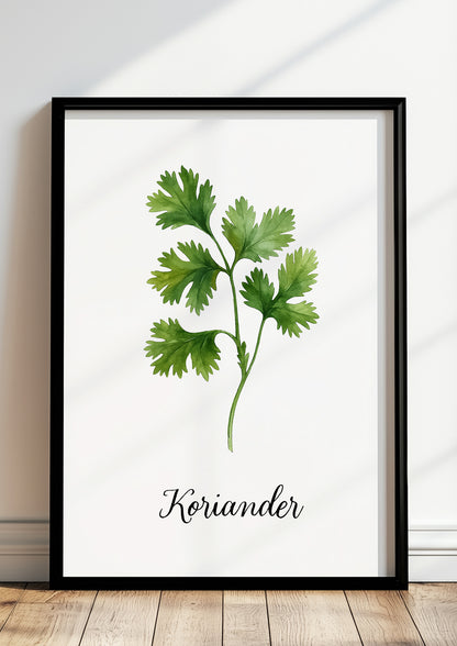 Botanisches Korianderposter im schwarzen Rahmen vor heller Wand mit Küchenaccessoires