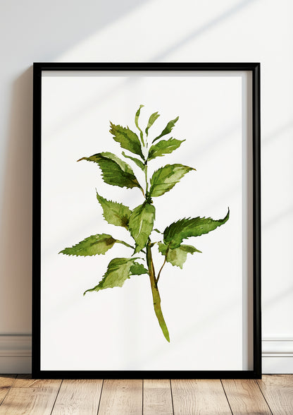 Gerahmtes Poster mit Aquarellzweig lehnt auf dem Boden vor einer hellen Wand