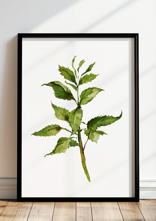 Gerahmtes Poster mit Aquarellzweig lehnt auf dem Boden vor einer hellen Wand