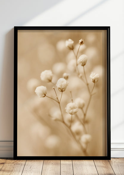 Feine Blüten des Schleierkrauts in harmonischer Anordnung