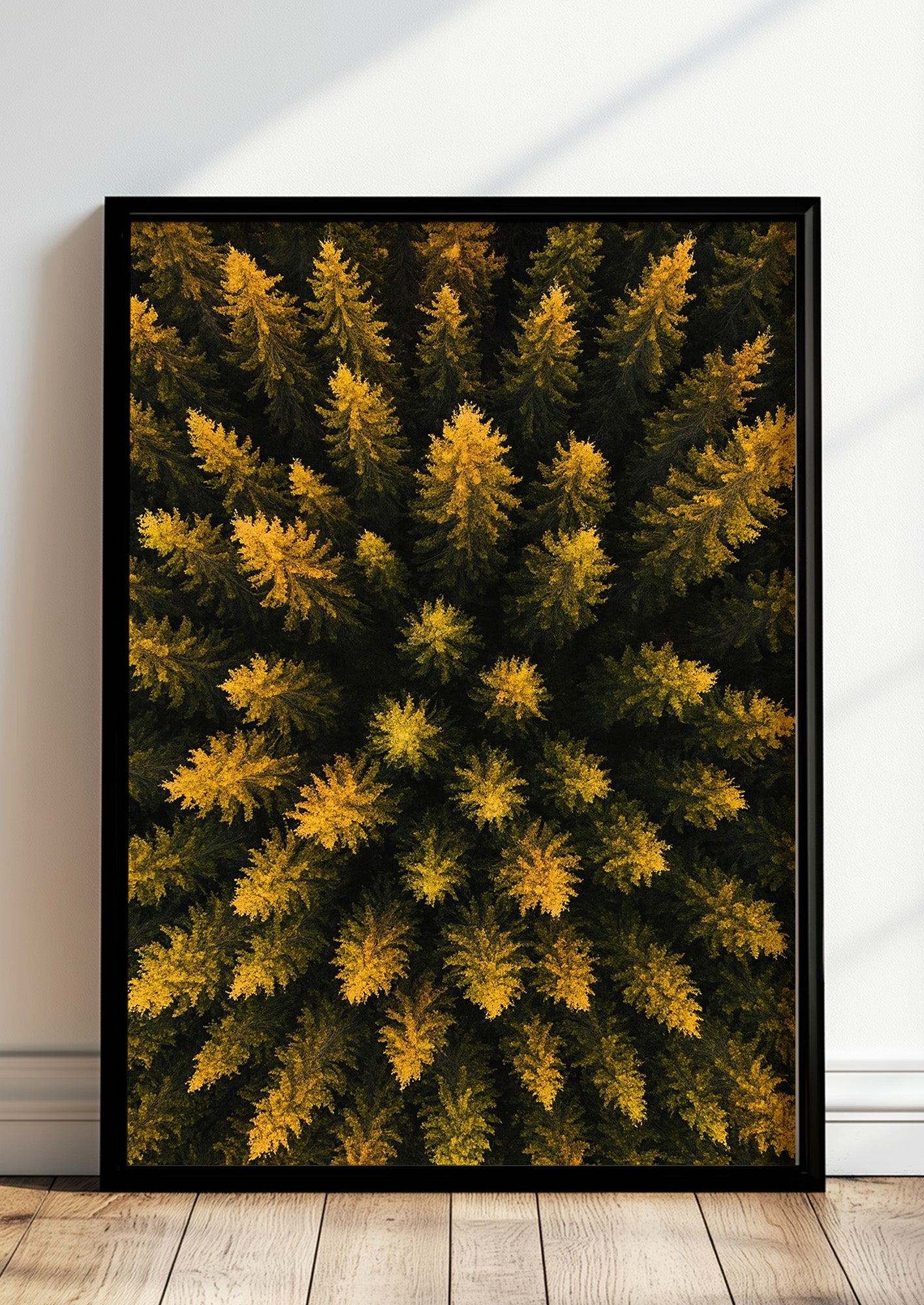 Poster Wald Von Oben – Baumkronen im schwarzen Holzrahmen stehend