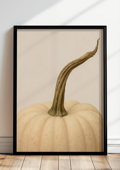 Poster Weißer Kürbis im schwarzen Holzrahmen stehend